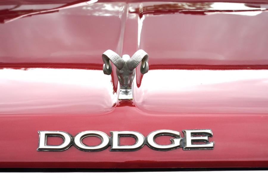 Логотип Dodge D100 Custom Pickup 1979 года  (фото 40 из 92)